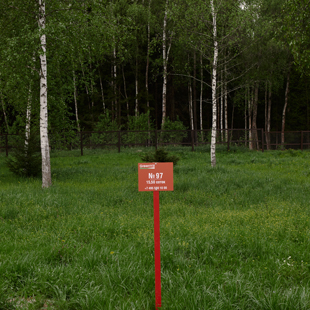photo-gallery-5