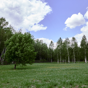 photo-gallery-6