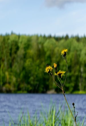 photo-4